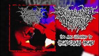SCHOOL ZONE DRAGSTRIP - Unseen Evisceration (Full-Album) [ Slamming Brutal Death Metal]
