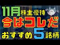 仕込むなら今がチャンス！11月おすすめ株主優待5選