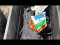🧅🧄🥔Cum Stimulăm Încoltirea la ❗️Cartof și Arpagic❗️ 🧅🧄🥔❗️✅