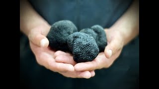 Le Diamant Du Terroir