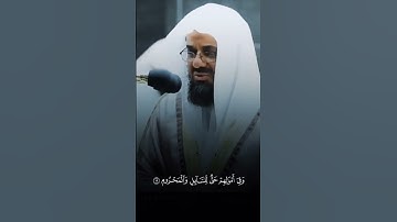 [الذاريات:15-23] القارئ:سعود الشريم