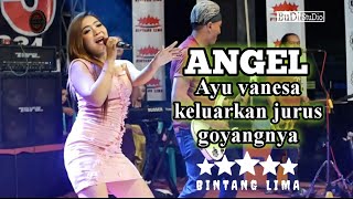ANGEL Ayu vanesa Bintang 5 musik