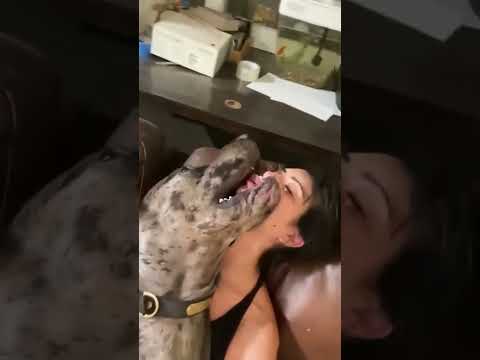 Kadın'La Köpek Sevişiyor Abuuu🤣🤣🤣En Guzel Tiktok Videolar'ı / #shorts #reels