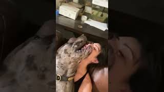 Kadın'La Köpek Sevişiyor Abuuu🤣🤣🤣En Guzel Tiktok Videolar'ı / #shorts #reels