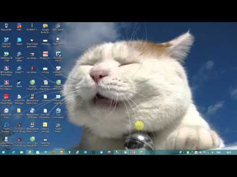SQL Server 2008.