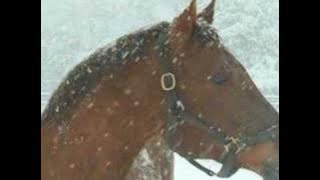The Blizzard - Jim Reeves - Tall Tales Short Tempers
