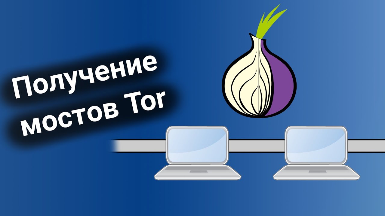 tor browser звук mega