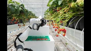 Strawberry Harvesting Robot - Introducing BERRY screenshot 3