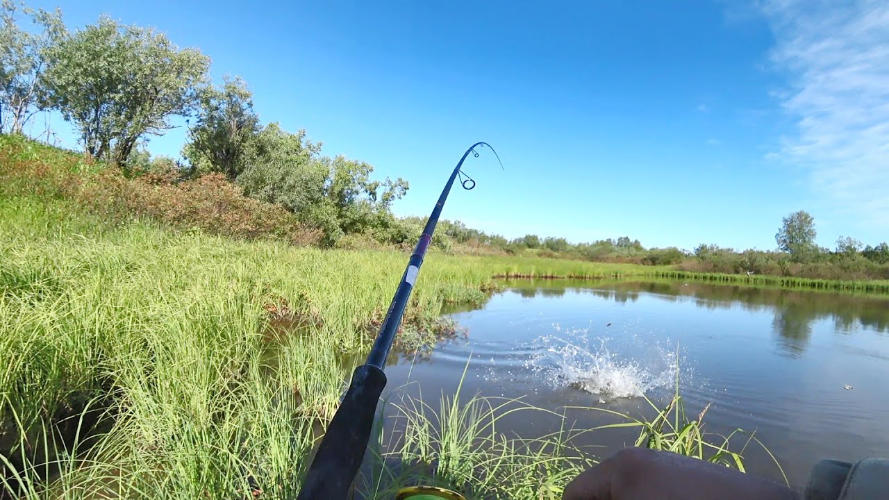 Щука в озере