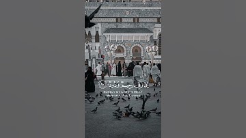 سورة هود {الآية 90} بصوت الشيخ ياسر الدوسري ❤️💖