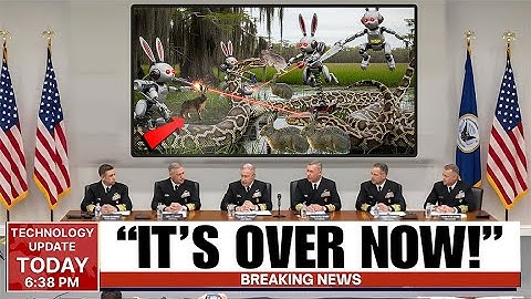 Florida Released Robotic Rabbits to Kill Pythons — What Happened Next Is BRUTAL!