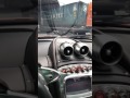 Phạm Trần Nhật Minh cầm lái “thần gió” Pagani chạy vòng quanh công ty nhựa Long Thành