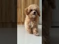 #viral #cutebaby