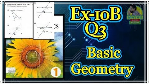 Q3 || Ex 10B || D1 || Basic Algebra || NSM 7th edition