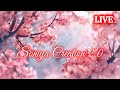 Soniya Creation 2.0 is live!