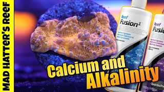 In-depth look at calcium and alkalinity in reef tank