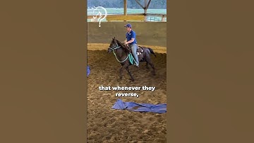 Speed Transitions On Your Gaited Horse! Part 7! | The Horse Guru- Michael Gascon