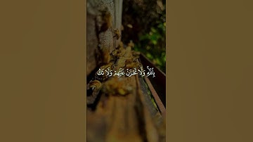 تلاوة عطرة بصوت رائع، قران كريم، #اكسبلور #المصحف_المرتل #دويتو #الجزائر #تلاوة_القرآن #قران_كريم