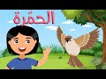 قصص للأطفال الحمرة معجزات النبي ﷺ