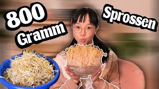 In Nur 5 Tagen In Der Wohnung Sojasprossen Selber Ziehen