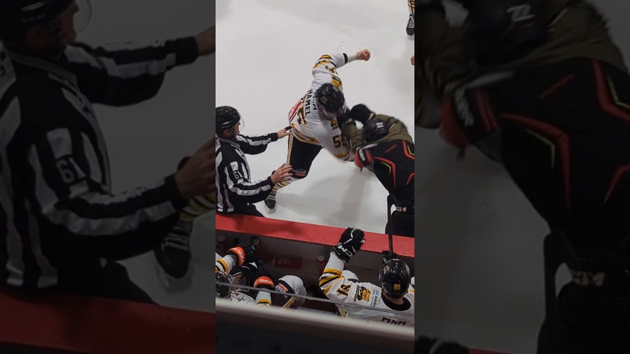 Dave Hamel beats down another hockey player 