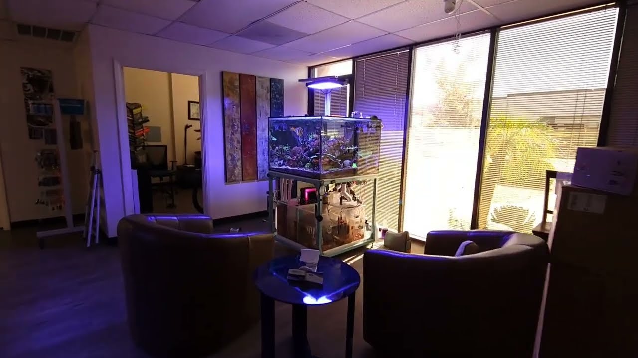 Random Flow Generator | Vivid Creative Aquatics