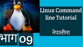 09 Linux Command Line Tutorials for beginners(About sudo command)