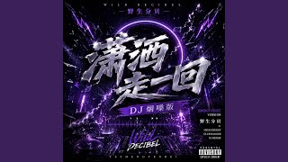潇洒走一回(DJ烟嗓版)