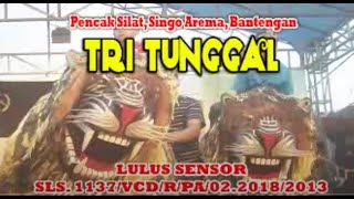 Atraksi  Singo Arema dan Bantengan Ngamuk Tri Tunggal | Bulls  Java Traditional