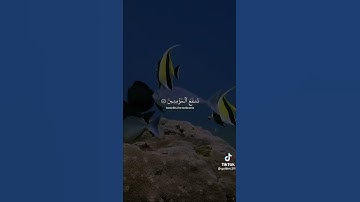 تلاوة خاشعة من سورة الذاريات - الشيخ سعود الشريم