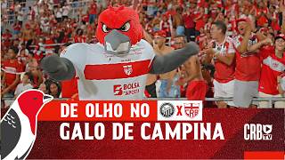 DE OLHO NO GALO DE CAMPINA - OPERÁRIO X CRB
