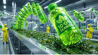 Seaweed to Plastic: Inside the Revolutionary Zero-Waste Factory You've Never Heard Of
