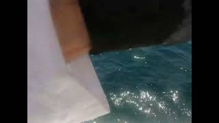 Sir Abu nair fishing trip