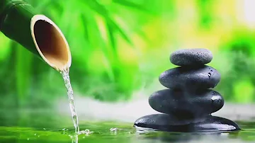 RELAXING MUSIC with the Sound of Nature Bamboo Water Fountain