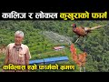 कविलास एग्रो फार्मको भ्रमण - जहाँ कालिज र लोकल कुखुरा पालिएको छ - Pheasant and local chicken rearing