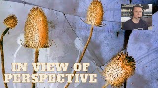 In View Of Perspective.