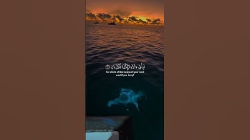 اجمل تلاوات ايات قران كريم