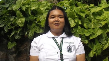 C L I N O M E T E R (make, use, solve)