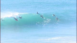 Bodyboarding paradise / Beliche The wave machine / Algarve / Portugal