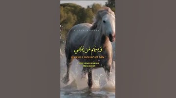 والله خلق كل دابة من ماء - سورة النور