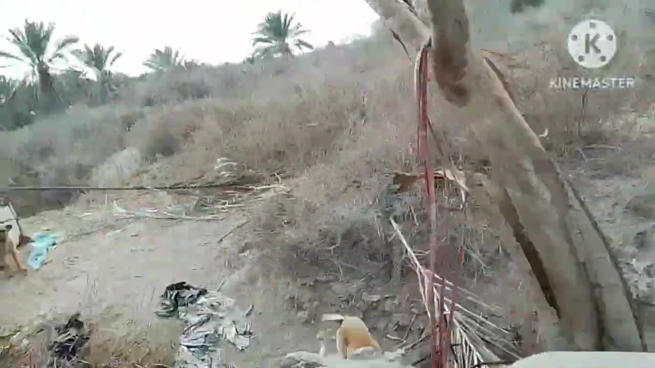 ٢٨ فبراير ٢٠٢٦