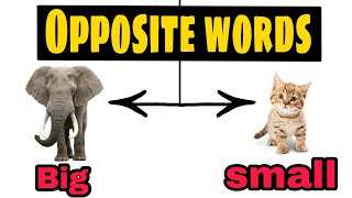 #opposite words/opposite words in english/most important antonyms