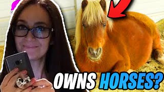 5 SECRET Things You Didn't Know About CookieSwirlC!! (OWNS HORSES?)