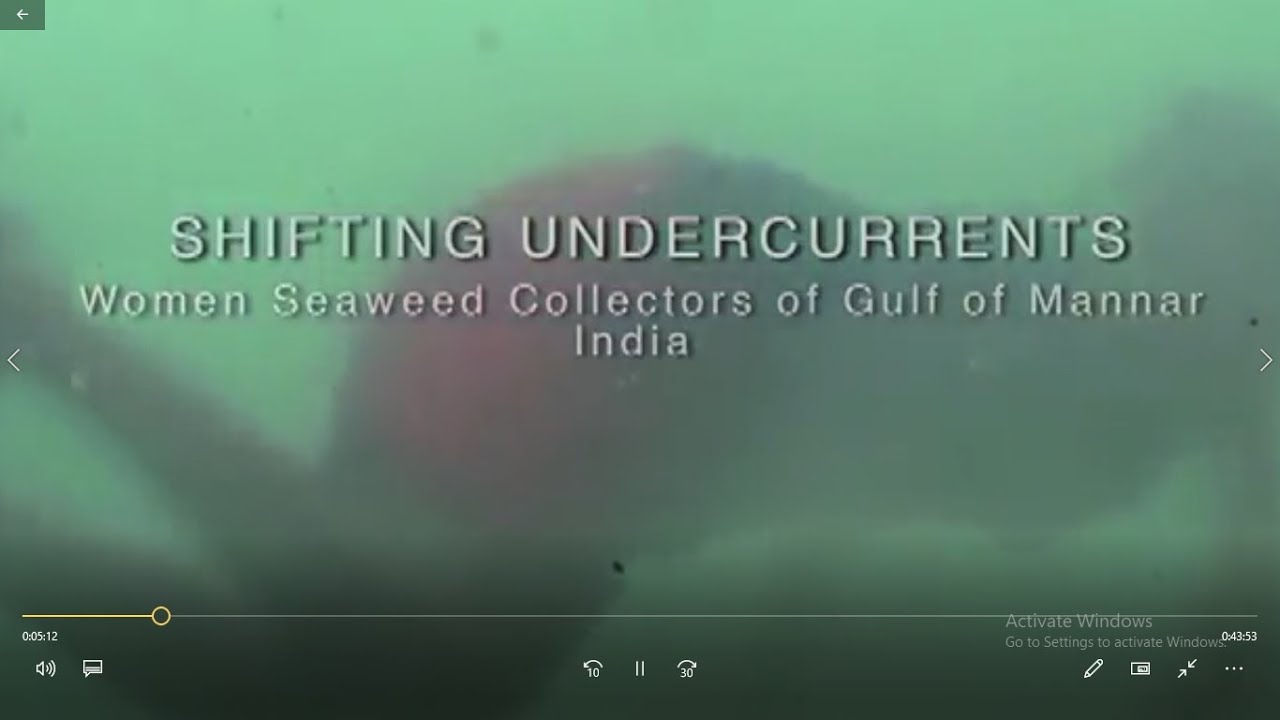 Poromboke Lec Fest : Women Seaweed Divers Of Ramnad