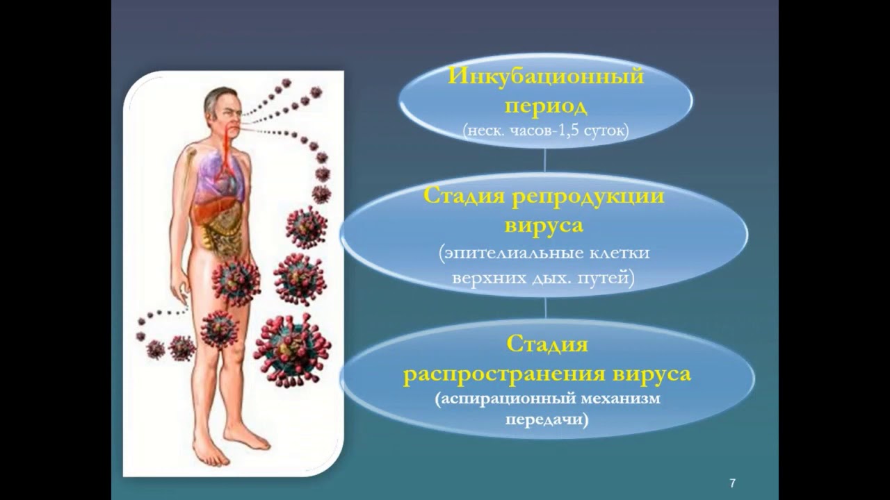Определение гриппа.