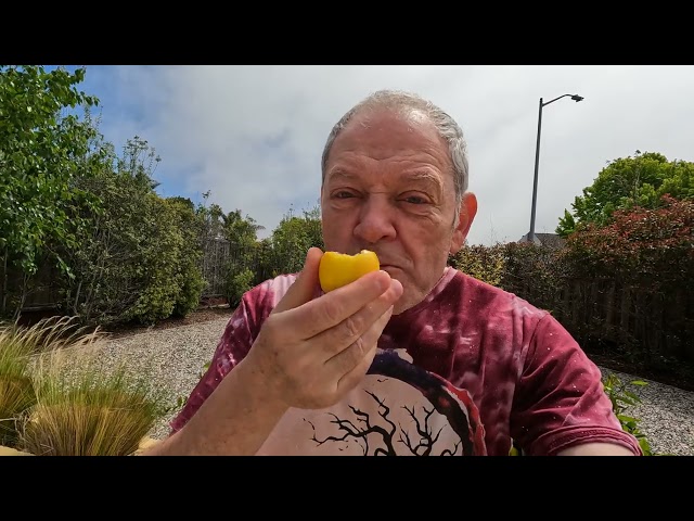Съешь лимон! ТОЛЬКО НЕ ЭТО!!!