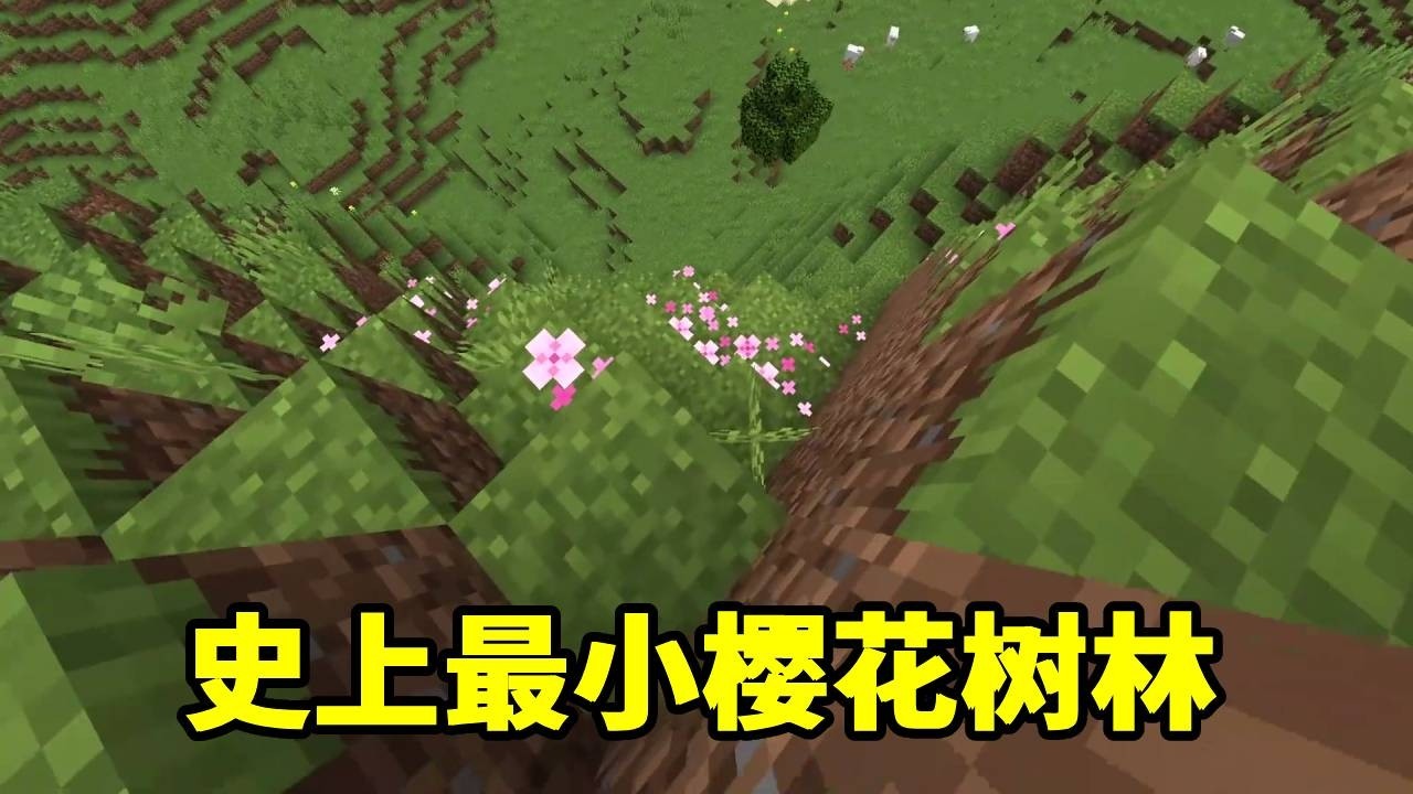 我的世界：这可能是MC史上最小的樱花树林，甚至很难称之为林！ #我的世界 #Minecraft #MC的N种打开方式 #MC快乐加马