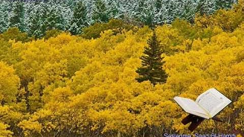 094. Ash-Sharh (The Relief) - سورة الشرح (Insirah) (El-Inshirah) (Quran erebce)