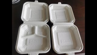 100% Biodegradable Corn Starch Granule Making Machine For Biodegradable Bags Cups Straws Plates