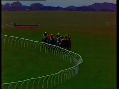 1993 Jefferson Smurfit Memorial Irish St. Leger